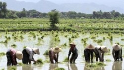 မြေအရင်းအမြစ် ပြဿနာ မြေအရင်းအမြစ် ပြဿနာ