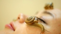 အလှအပပြင် ဆေးခန်းတွေနဲ့ အရေးပြားပြဿနာ အလှအပပြင် ဆေးခန်းတွေနဲ့ အရေးပြားပြဿနာ