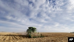 爱奥华州一家农场的玉米田(资料照)