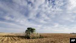 艾奥瓦州一家农场的玉米田(资料照)