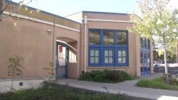 哈里斯创造历史 成为首位非裔和印度裔副总统 哈里斯创造历史 成为首位非裔和印度裔副总统