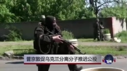 普京呼吁乌克兰分离分子推迟分离公投 普京呼吁乌克兰分离分子推迟分离公投