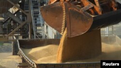 资料照:中国江苏省南通港正在装卸进口的大麦。(2014年2月21日)