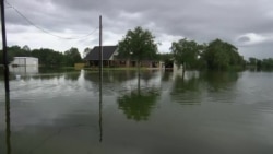 英语视频:特朗普政府推翻加州排放标准 英语视频:特朗普政府推翻加州排放标准