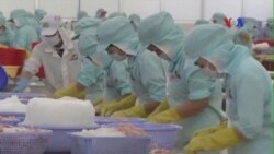 Thương mại Việt-Mỹ vượt mức 17 tỉ trong 8 tháng đầu năm Thương mại Việt-Mỹ vượt mức 17 tỉ trong 8 tháng đầu năm