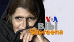 بي بي شیرینه – وي او اې ډيوه په ټیلې ویژن بي بي شیرینه – وي او اې ډيوه په ټیلې ویژن