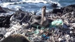 一步一个脚印 打击塑料污染 一步一个脚印 打击塑料污染