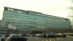 时事大家谈:世卫调查小组敢不敢触及中国敏感神经? 时事大家谈:世卫调查小组敢不敢触及中国敏感神经?