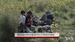 移民潮对欧洲虽有代价亦或有经济益处