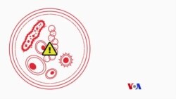 ကမ္ဘာအနှံ့ပျံ့ ကပ်ရောဂါ ဆိုတာဘာလဲ ကမ္ဘာအနှံ့ပျံ့ ကပ်ရောဂါ ဆိုတာဘာလဲ