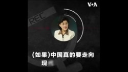 【独家】蔡霞专访: “去习、非共、变革、和平” 【独家】蔡霞专访: “去习、非共、变革、和平”