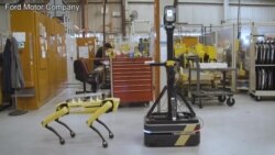 机器狗驻扎福特汽车厂房执行测绘任务 机器狗驻扎福特汽车厂房执行测绘任务