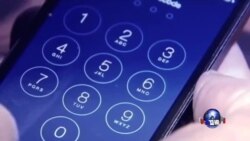 焦点对话:苹果与政府之争,扯上中国? 焦点对话:苹果与政府之争,扯上中国?