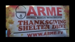 感恩节的爱无界线 感恩节的爱无界线