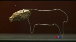 ဂျာမနီ ရှေးဟောင်းထုံးကျောက်ဂူ ဂျာမနီ ရှေးဟောင်းထုံးကျောက်ဂူ