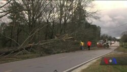 У штатах Алабама і Джорджия оголошено надзвичайний стан через погодні умови. Відео У штатах Алабама і Джорджия оголошено надзвичайний стан через погодні умови. Відео