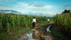 Walk အခြေခံတဲ့ အီဒီယံအသုံးအနှုန်းများ Walk အခြေခံတဲ့ အီဒီယံအသုံးအနှုန်းများ