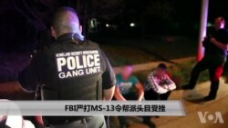 美国犯罪帮派MS13的起源 美国犯罪帮派MS13的起源