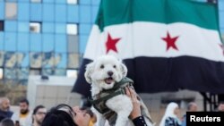 叙利亚首都大马士革,一名女子高举爱犬,和群众庆祝阿萨德家族半世纪的威权统治终于画下句点。(美联社:2024年12月13日)