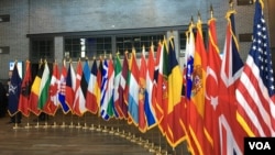 2019年4月3日北约互动论坛上的北约成员国国旗(美国之音黎堡)