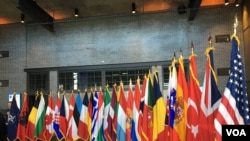 2019年4月3日北约互动论坛上的北约成员国国旗(美国之音黎堡)