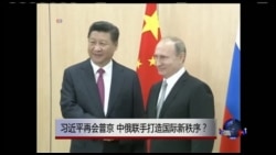 时事大家谈:习近平再会普京 中俄联手打造国际新秩序? 时事大家谈:习近平再会普京 中俄联手打造国际新秩序?