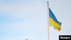 Святкова ялинка в Києві