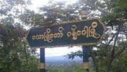 ဂန့်ဂေါနယ် တဝန်း တိုက်ပွဲတွေအတွင်း သေဆုံး၊ ထွက်ပြေးရမှု အခြေအနေ ဂန့်ဂေါနယ် တဝန်း တိုက်ပွဲတွေအတွင်း သေဆုံး၊ ထွက်ပြေးရမှု အခြေအနေ