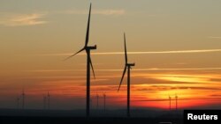 资料照片:法国坎布雷附近一个风力公园里的风力涡轮机掩映在夕阳之下。(2019年2月5日)