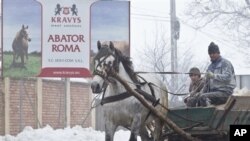 ဥရောပတခွင် မြင်းတွေနဲ့ပတ်သက်ပြီး စုံစမ်းမှုတွေ ပြုလုပ်နေစဉ်