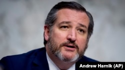 美国参议员泰德·克鲁兹