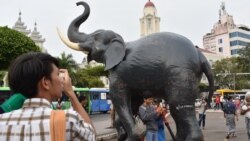 မိုမိုတို့အတွက် ရင်တွင်းစကားသံလှုပ်ရှားမှု စက္ကူဆင်ရုပ် ဂင်းနစ်ကမ္ဘာ့မှတ်တမ်းဝင် မိုမိုတို့အတွက် ရင်တွင်းစကားသံလှုပ်ရှားမှု စက္ကူဆင်ရုပ် ဂင်းနစ်ကမ္ဘာ့မှတ်တမ်းဝင်