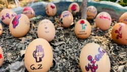 အီစတာကြက်ဥတွေပေါ် စာတန်းပုံဖော်ပြီး ရန်ကုန်မှာ စစ်အာဏာသိမ်း ဆန့်ကျင်ရေး ဆန္ဒပြ