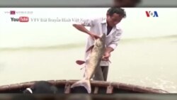 Truyền hình vệ tinh VOA 28/4/2016 Truyền hình vệ tinh VOA 28/4/2016