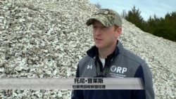 美国万花筒:餐厅回收牡蛎壳 取之海湾回归海湾 美国万花筒:餐厅回收牡蛎壳 取之海湾回归海湾