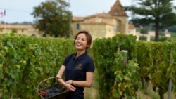 时事大家谈: 封杀赵薇背后:媚日?马云?劫财?整治饭圈? 时事大家谈: 封杀赵薇背后:媚日?马云?劫财?整治饭圈?