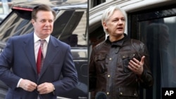 Manafort Assange