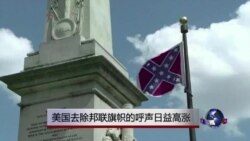 美国去除邦联旗帜的呼声日益高涨 美国去除邦联旗帜的呼声日益高涨