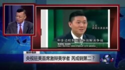 媒体观察:央视驻美首席激辩美学者,芮成钢第二? 媒体观察:央视驻美首席激辩美学者,芮成钢第二?