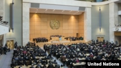 世界卫生大会 (资料照片)