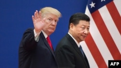 2017年11月9日,特朗普和习近平在北京人民大会堂。