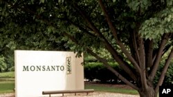资料照:2006年在美国密苏里州的孟山都公司总部标示,孟山都于2018年被拜耳收购。