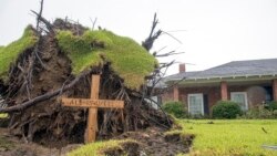 Laura ဟာရီကိန်းမုန်တိုင်းသင့်ဒေသ သမ္မတ Trump စစ်ဆေးကြည့်ရှု Laura ဟာရီကိန်းမုန်တိုင်းသင့်ဒေသ သမ္မတ Trump စစ်ဆေးကြည့်ရှု