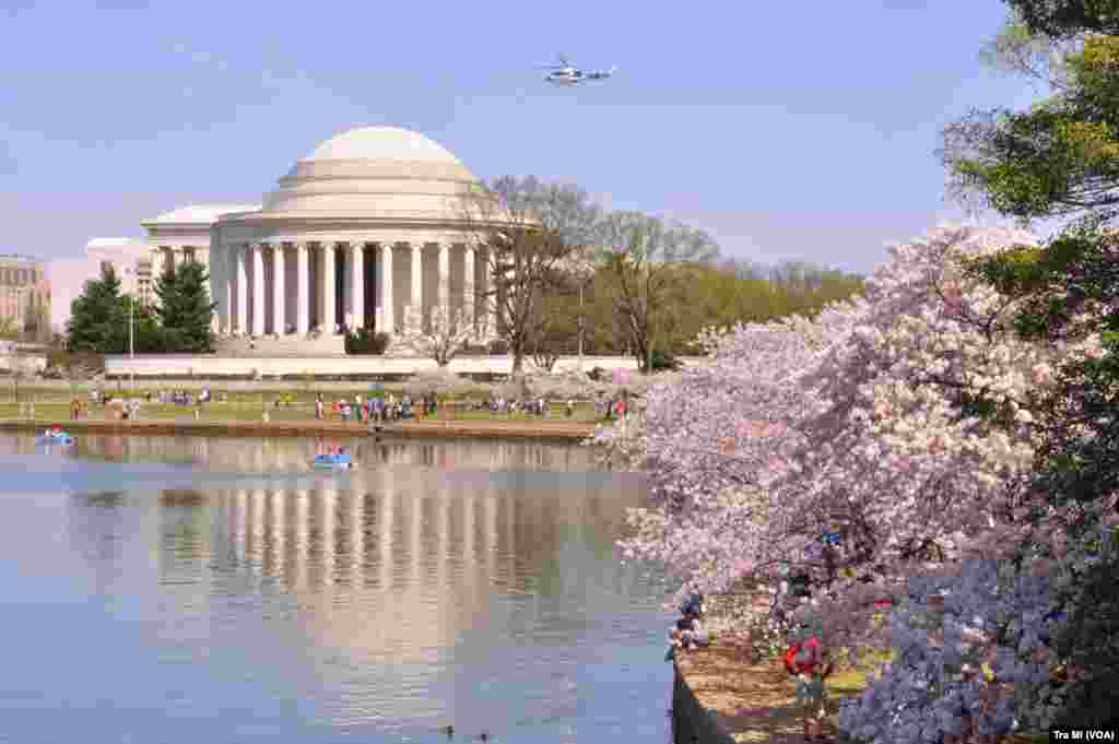 近观杰佛逊纪念堂,在水一方。上空有直升机飞过。有游客写道:“空中巡逻直升机时不时飞过,时刻提醒大家,这里是美国的政治核心区,任何人不得造次! ”