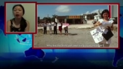 VOA连线王男栿: 纪录影片《我是流氓燕》 VOA连线王男栿: 纪录影片《我是流氓燕》