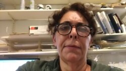 美龙虾出口商:中国争关税损害我的生意 美龙虾出口商:中国争关税损害我的生意