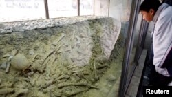 资料照:参观者在南京大屠杀纪念馆内观看大屠杀造成的人类遗骨。(2007年12月13日)