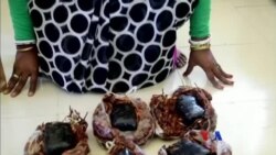 ရိုဟင်ဂျာဒုက္ခသည်အရေးနဲ့ မူးယစ်ဆေးကုန်ကူးမှု ရိုဟင်ဂျာဒုက္ခသည်အရေးနဲ့ မူးယစ်ဆေးကုန်ကူးမှု