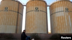 中储粮在天津港附近的粮食储备设施。(2019年12月12日)