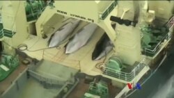 ဒီသီတင်းပတ် အာရှစီးပွားရေး ဒီသီတင်းပတ် အာရှစီးပွားရေး